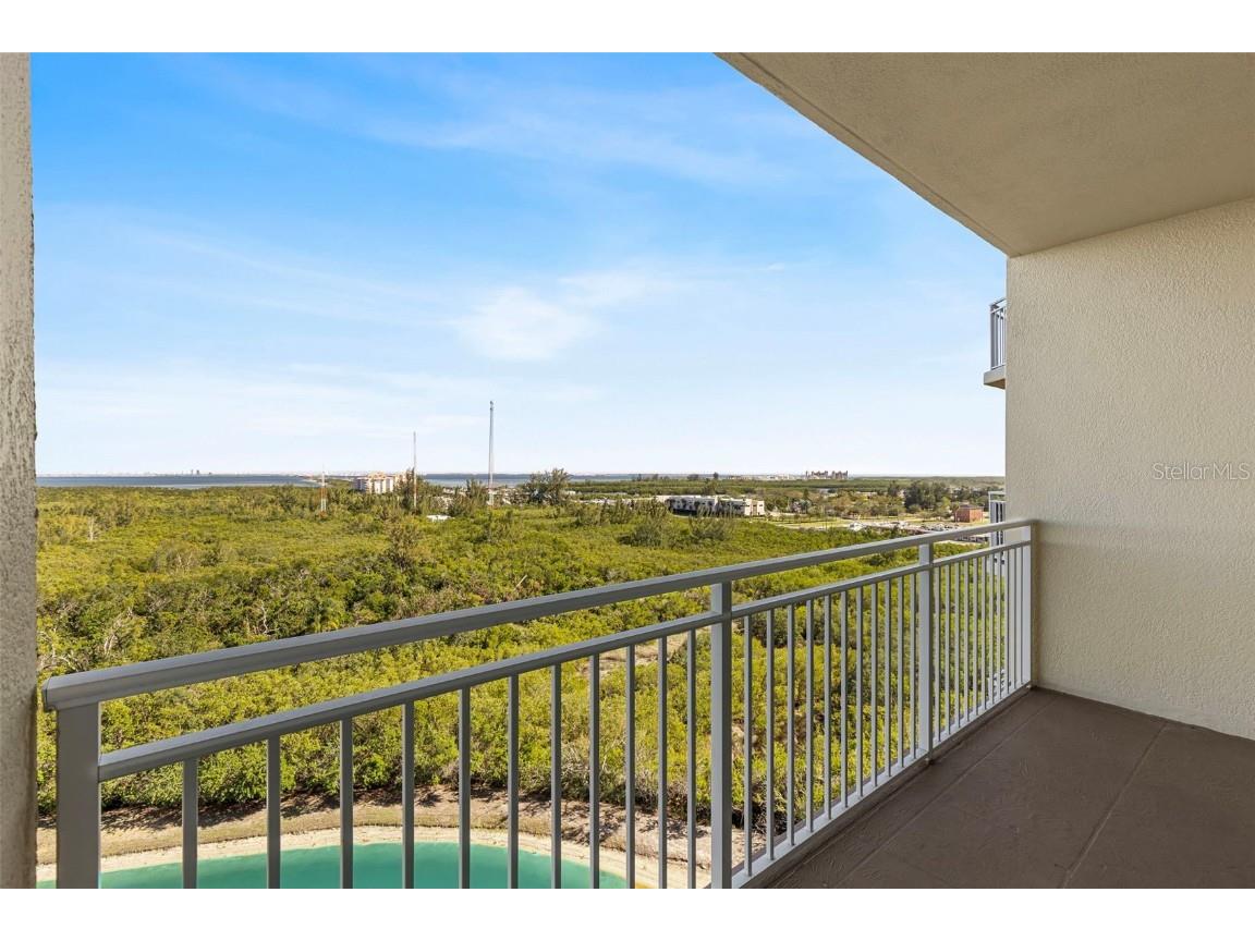 10851 Mangrove Cay Lane NE #1112 Saint Petersburg FL 33716 TB8405325 image29