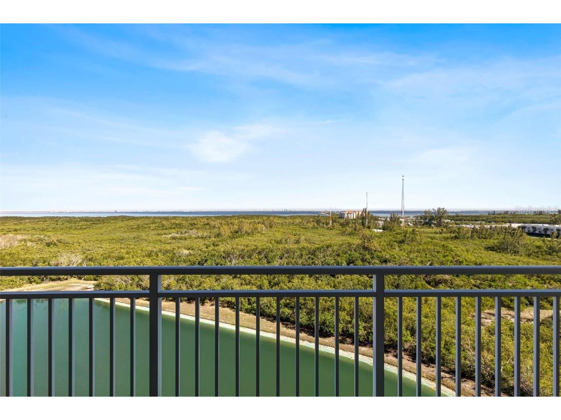 10851 Mangrove Cay Lane NE #1112 Saint Petersburg FL 33716 TB8405325 image30