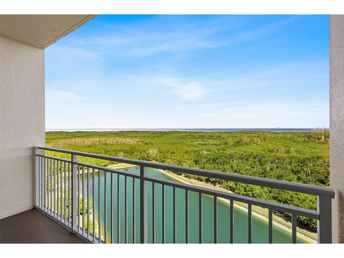 10851 Mangrove Cay Lane NE #1112 Saint Petersburg FL 33716 TB8405325 image31