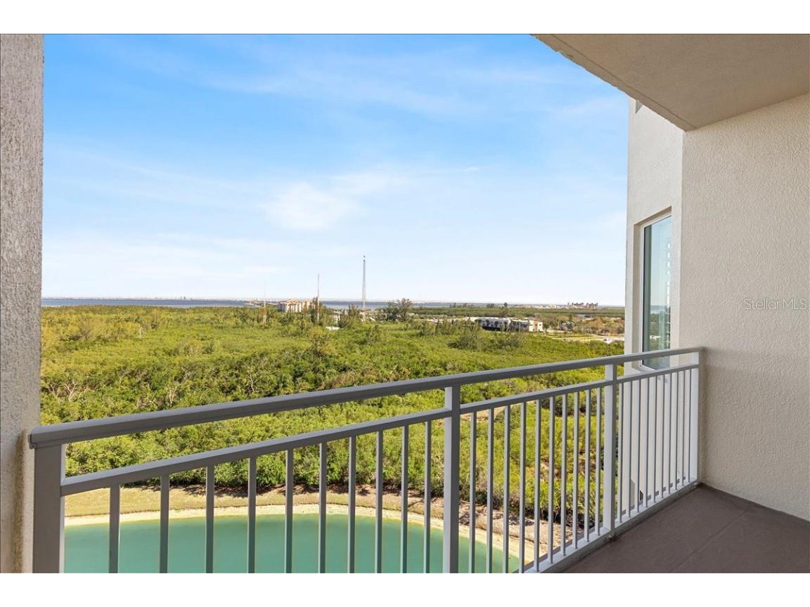 10851 Mangrove Cay Lane NE #1112 Saint Petersburg FL 33716 TB8405325 image32