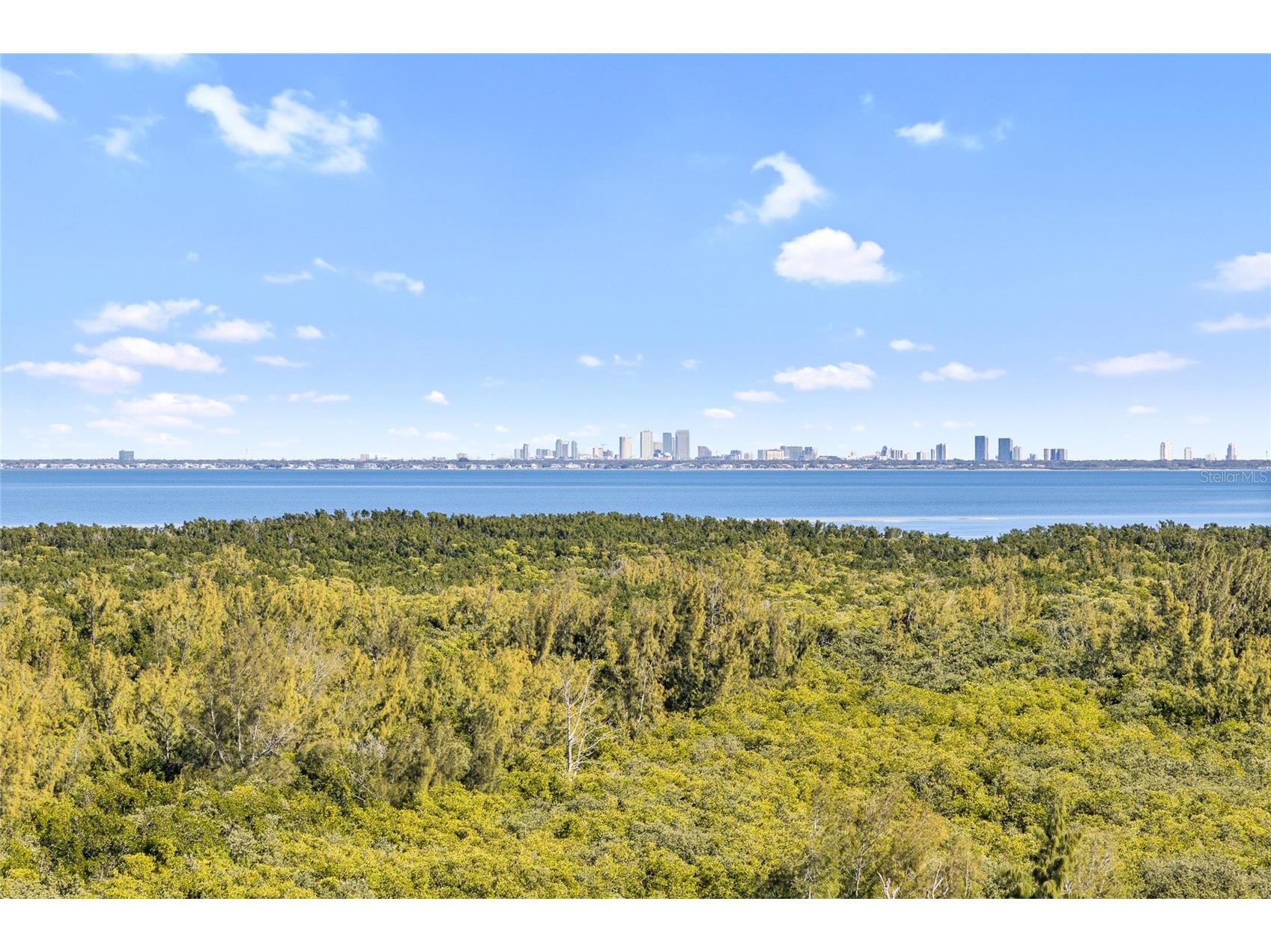 10851 Mangrove Cay Lane NE #1112 Saint Petersburg FL 33716 TB8482796 image1