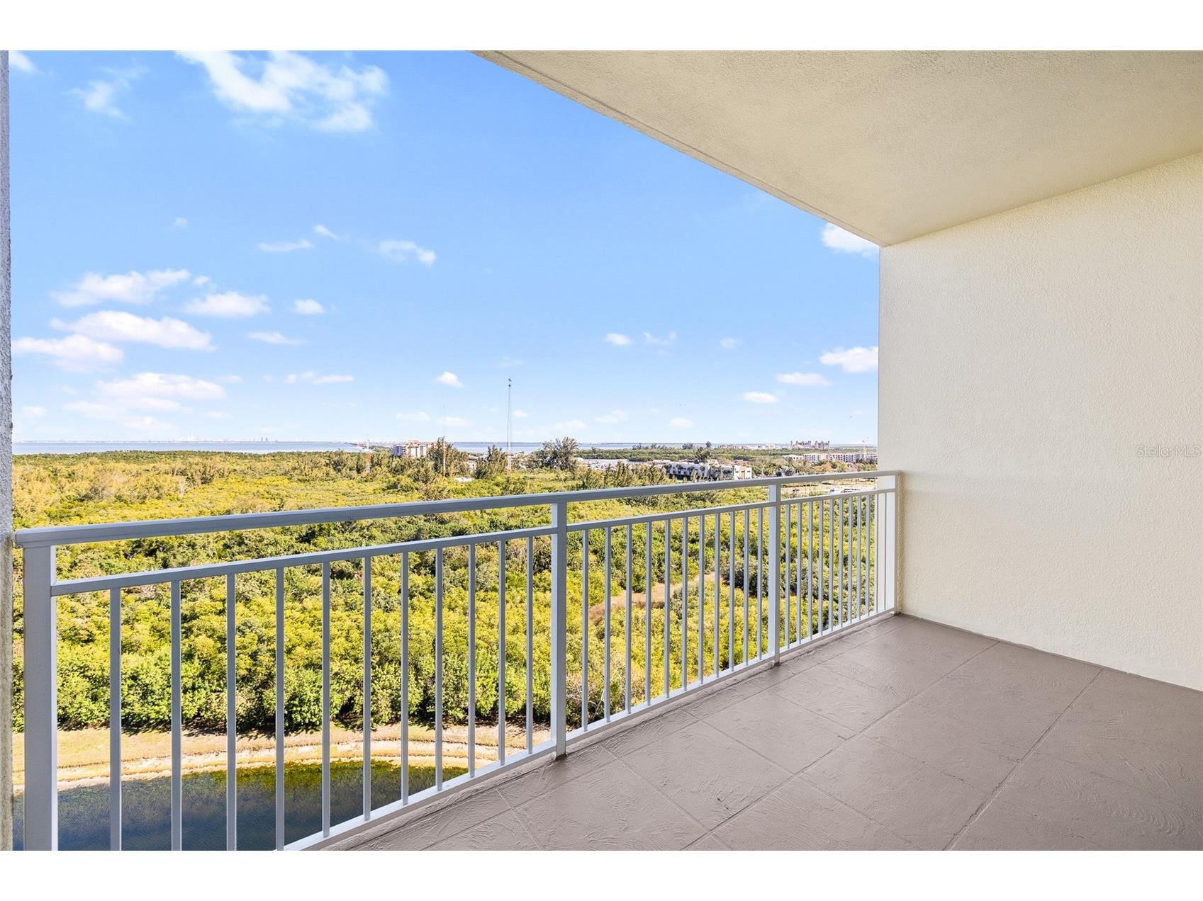 10851 Mangrove Cay Lane NE #1112 Saint Petersburg FL 33716 TB8482796 image36