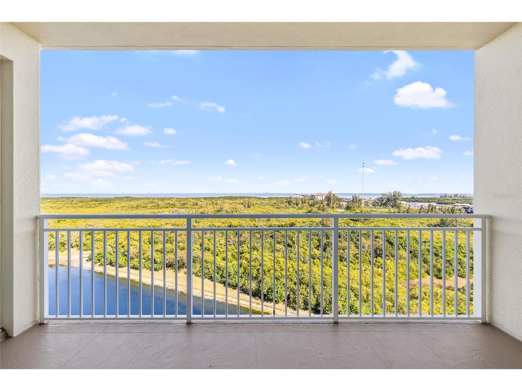 10851 Mangrove Cay Lane NE #1112 Saint Petersburg FL 33716 TB8482796 image37