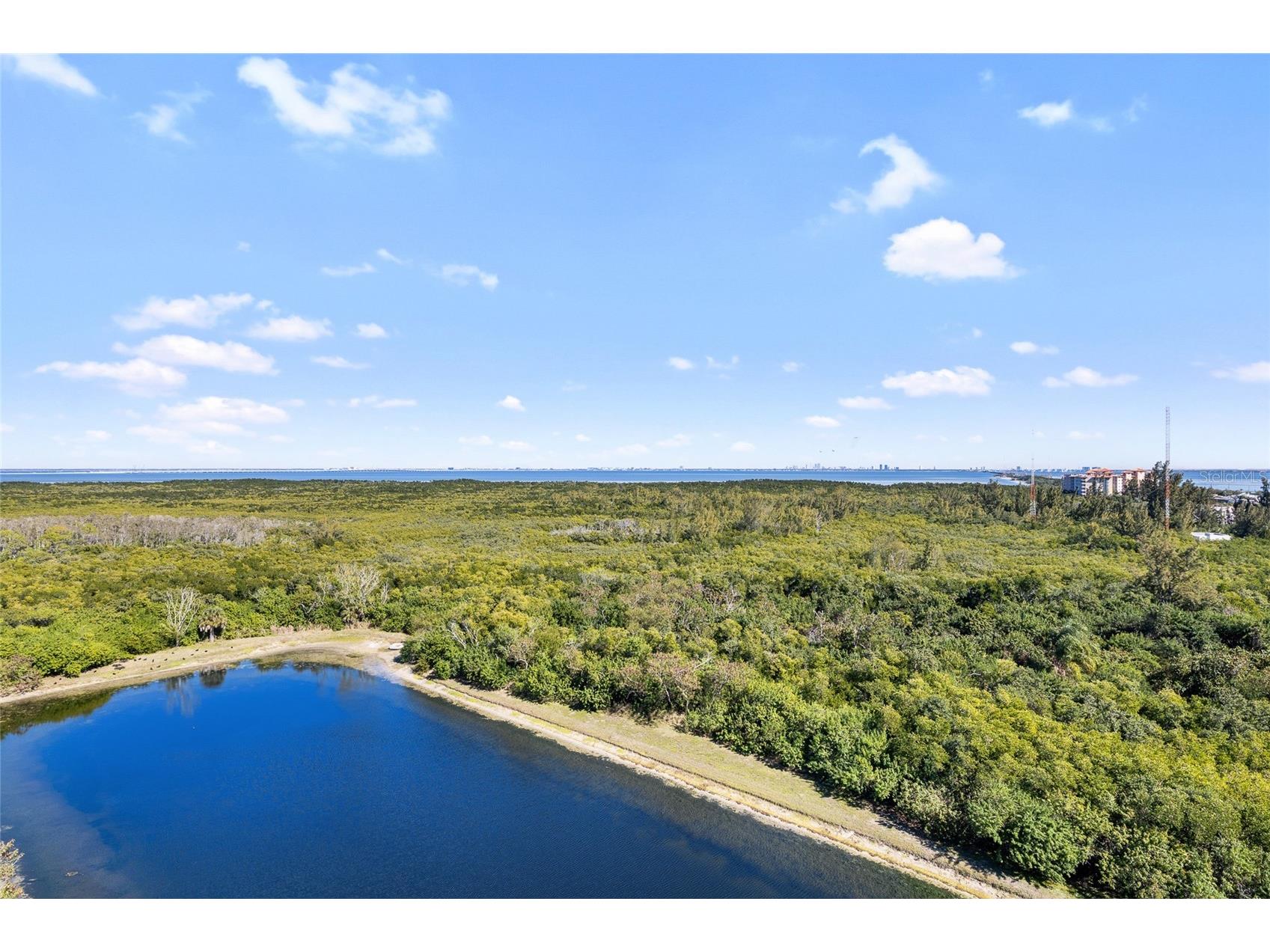 10851 Mangrove Cay Lane NE #1112 Saint Petersburg FL 33716 TB8482796 image38