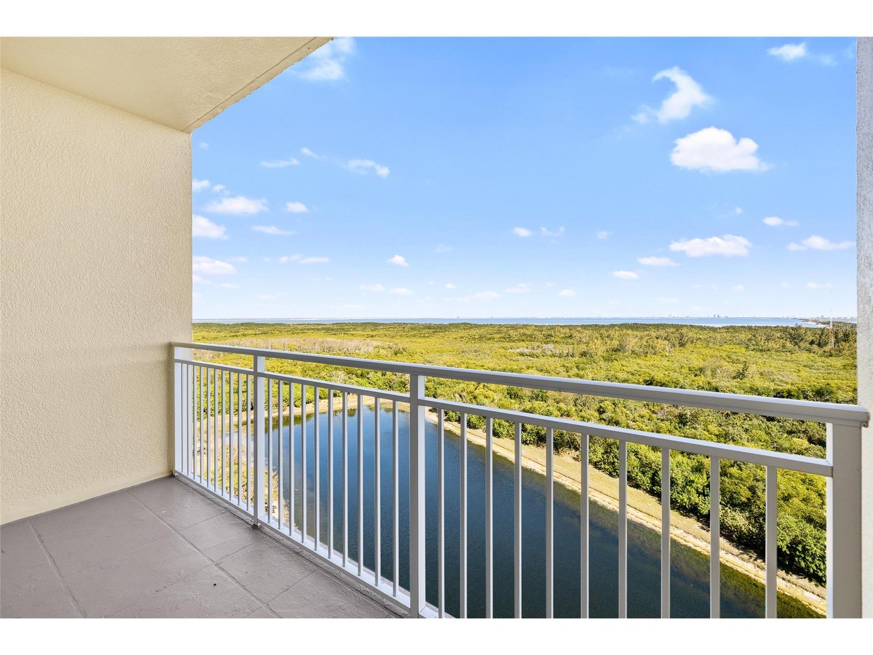 10851 Mangrove Cay Lane NE #1112 Saint Petersburg FL 33716 TB8482796 image39