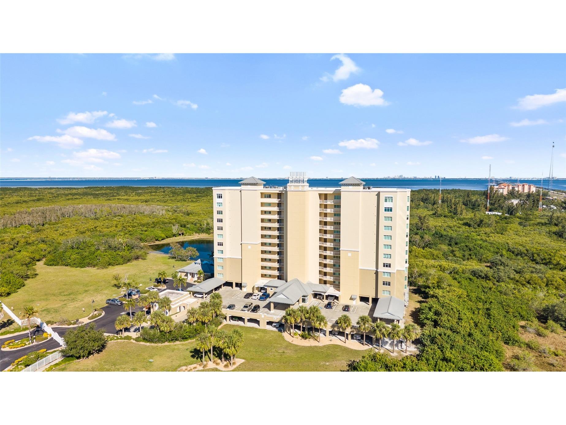 10851 Mangrove Cay Lane NE #1112 Saint Petersburg FL 33716 TB8482796 image40