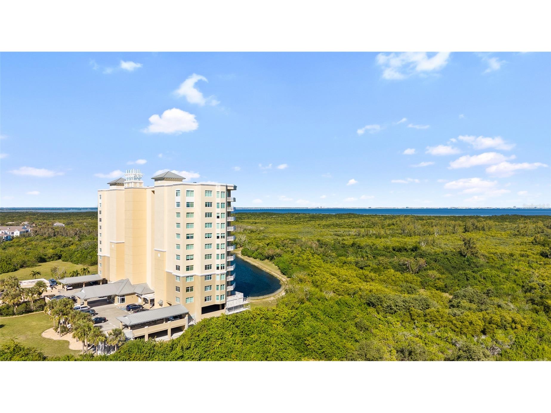 10851 Mangrove Cay Lane NE #1112 Saint Petersburg FL 33716 TB8482796 image41