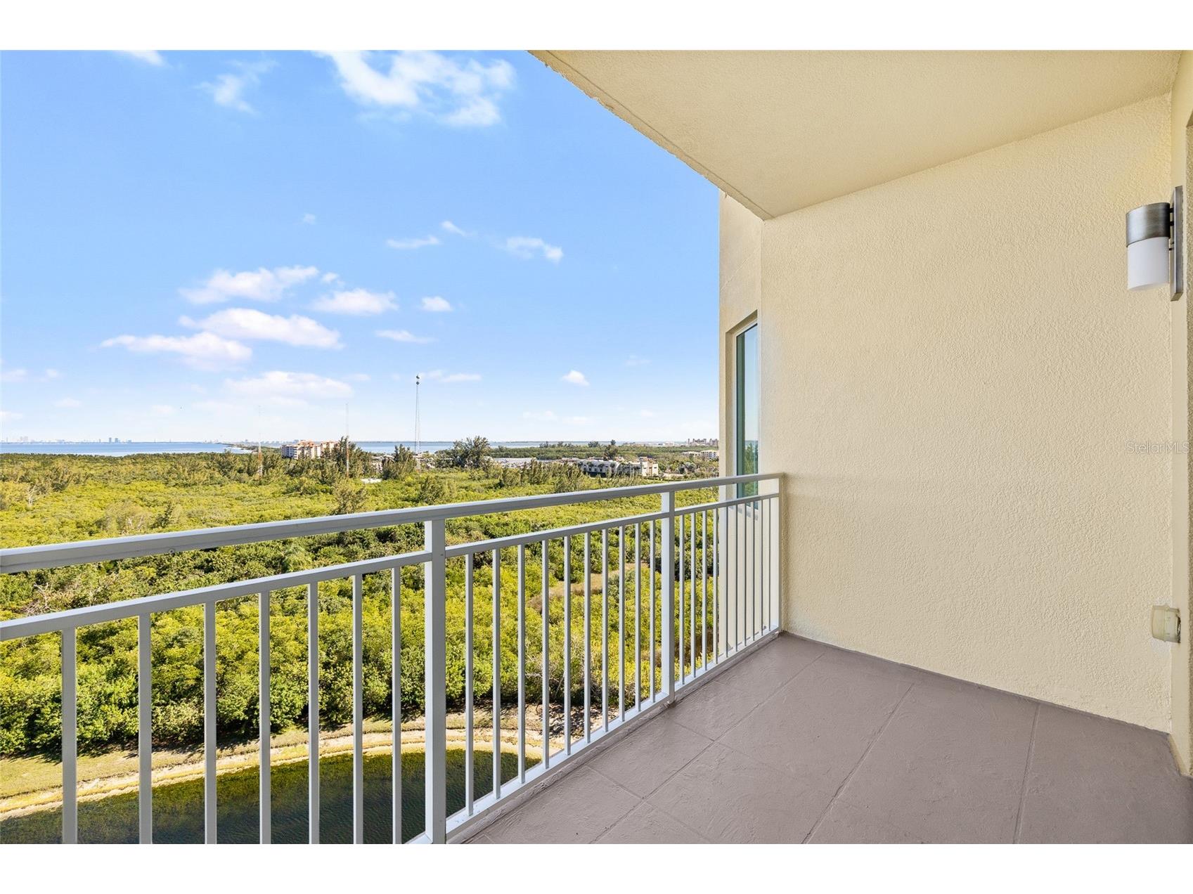 10851 Mangrove Cay Lane NE #1112 Saint Petersburg FL 33716 TB8482796 image46