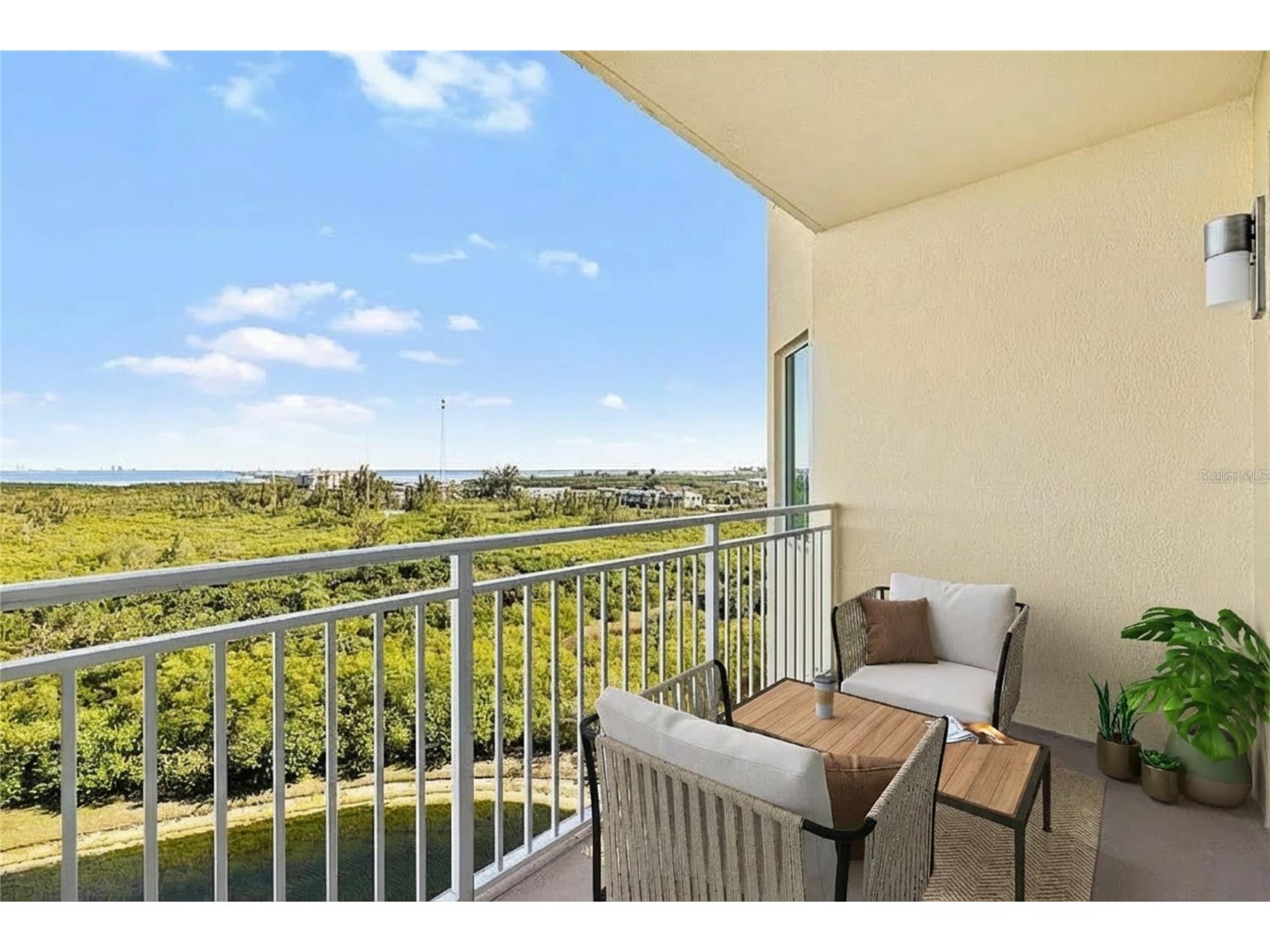 10851 Mangrove Cay Lane NE #1112 Saint Petersburg FL 33716 TB8482796 image48