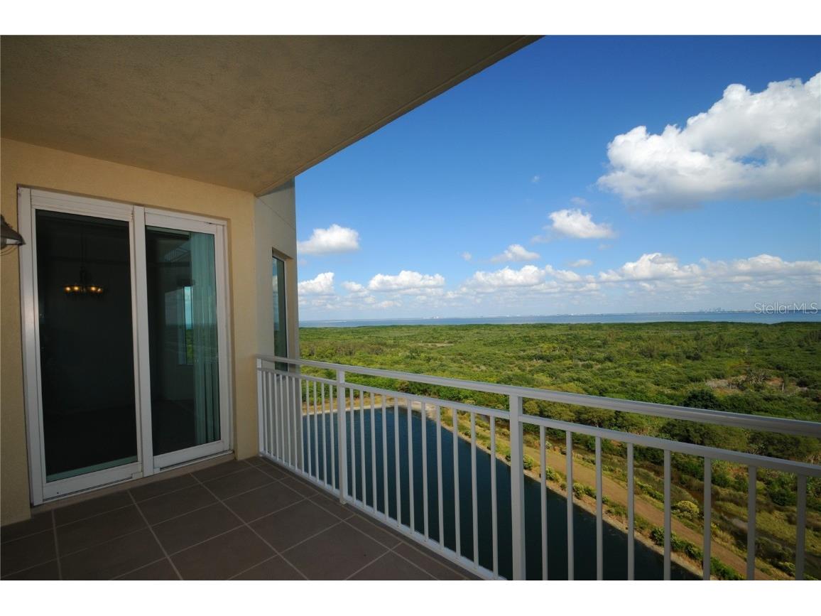 10851 Mangrove Cay Lane NE #1212 Saint Petersburg FL 33716 TB8440583 image23