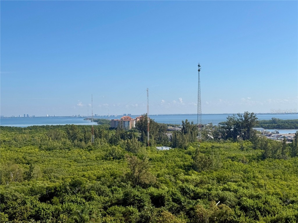 10851 Mangrove Cay Lane NE #1212 Saint Petersburg FL 33716 TB8440583 image35