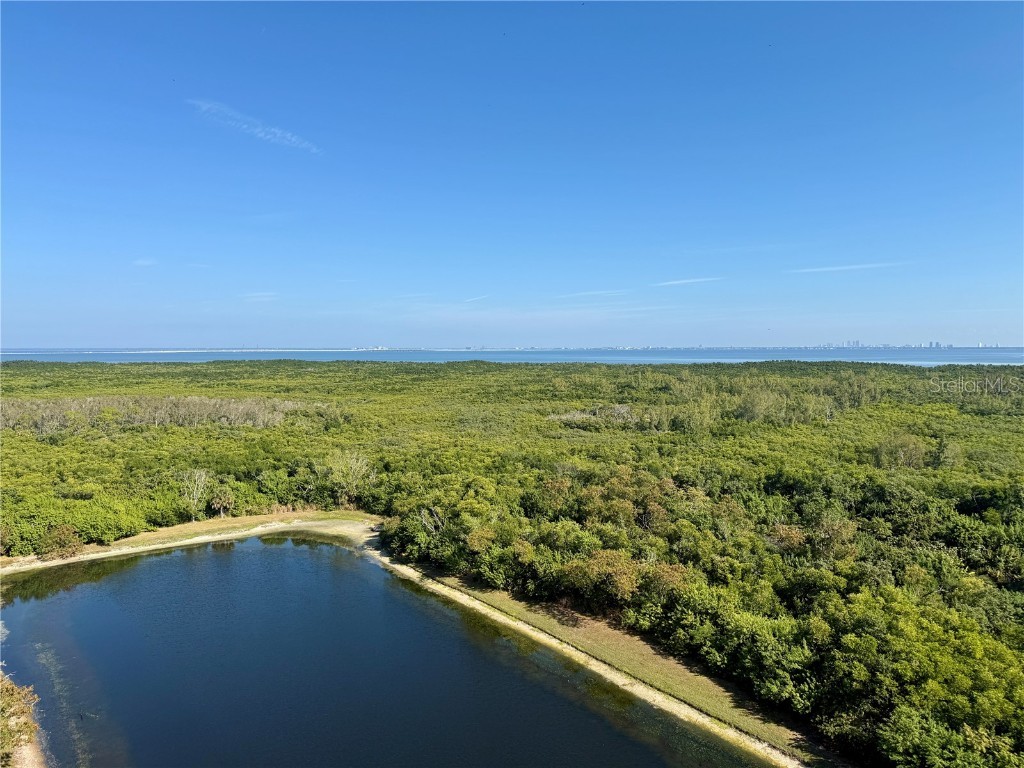 10851 Mangrove Cay Lane NE #1212 Saint Petersburg FL 33716 TB8440583 image36