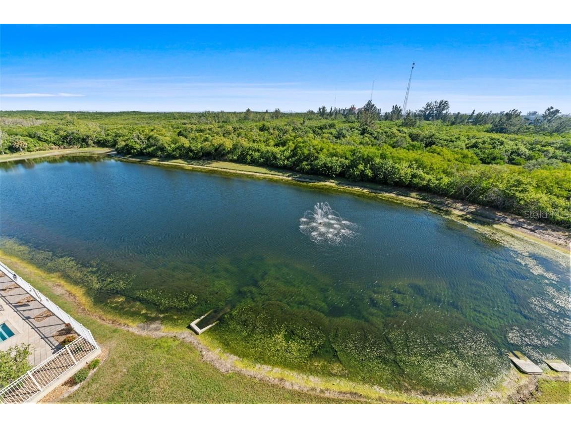 10851 Mangrove Cay Lane NE #612 Saint Petersburg FL 33716 TB8438193 image11