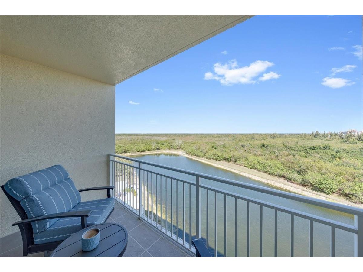 10851 Mangrove Cay Lane NE #712 Saint Petersburg FL 33716 TB8488739 image33