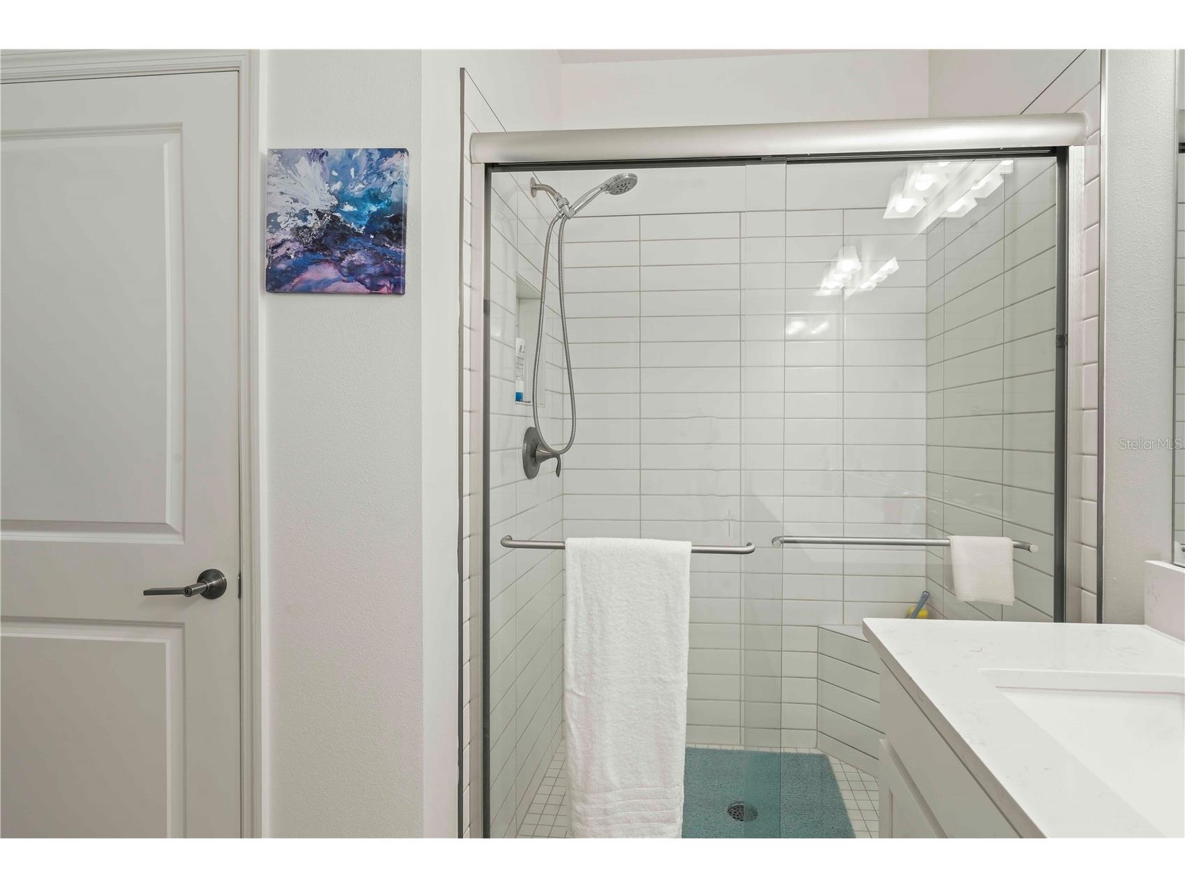 10852 Ibis Brook Court Land O Lakes FL 34638 TB8516318 image20