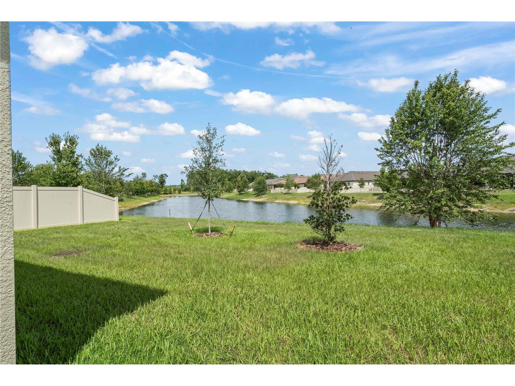 10852 Ibis Brook Court Land O Lakes FL 34638 TB8516318 image29