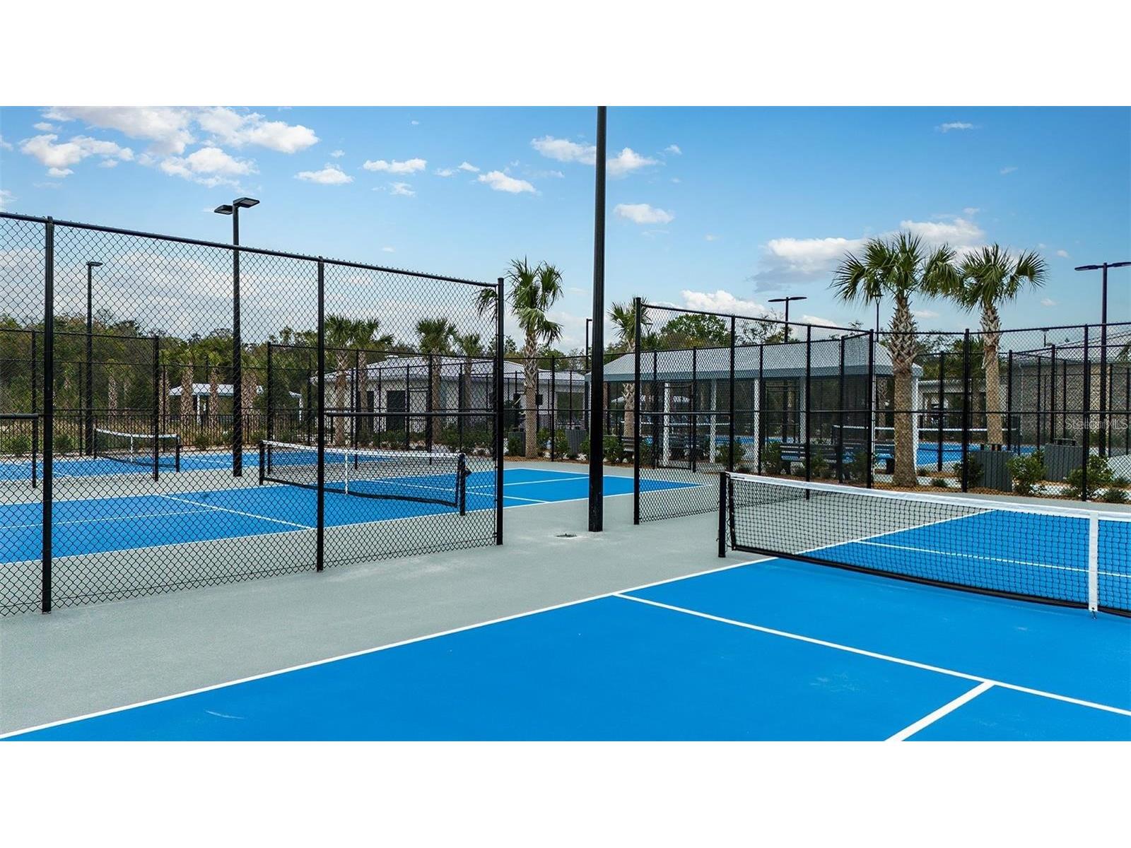 10852 Ibis Brook Court Land O Lakes FL 34638 TB8516318 image35