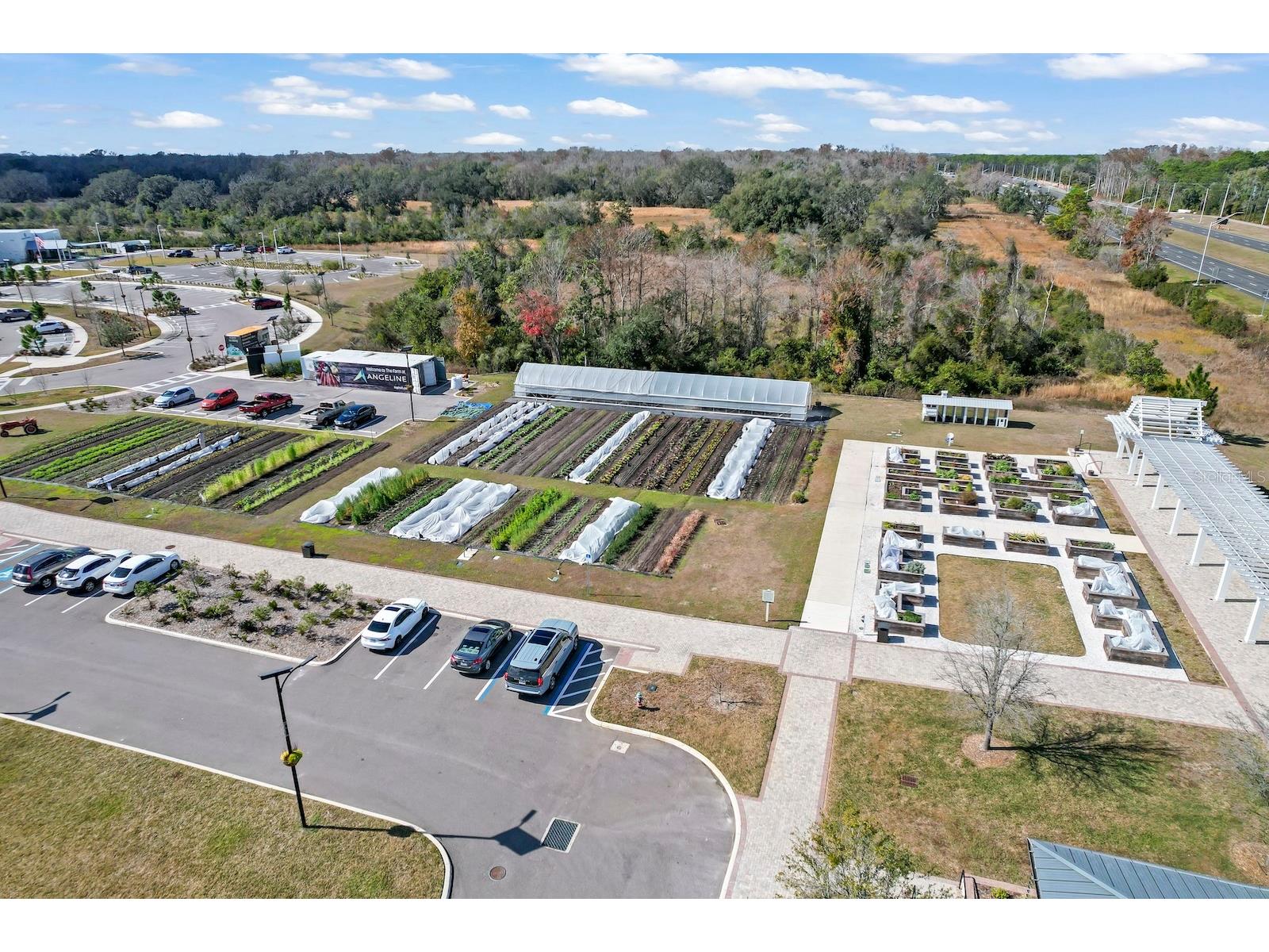 10852 Ibis Brook Court Land O Lakes FL 34638 TB8516318 image46