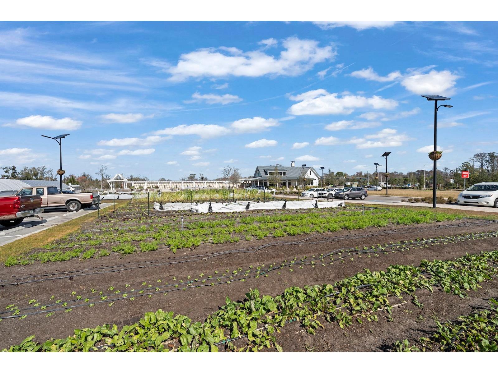 10852 Ibis Brook Court Land O Lakes FL 34638 TB8516318 image48