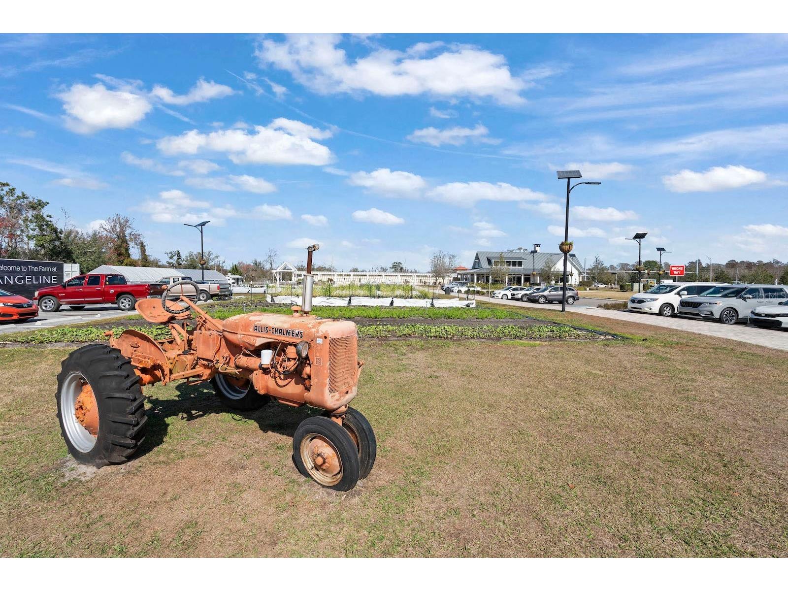 10852 Ibis Brook Court Land O Lakes FL 34638 TB8516318 image49