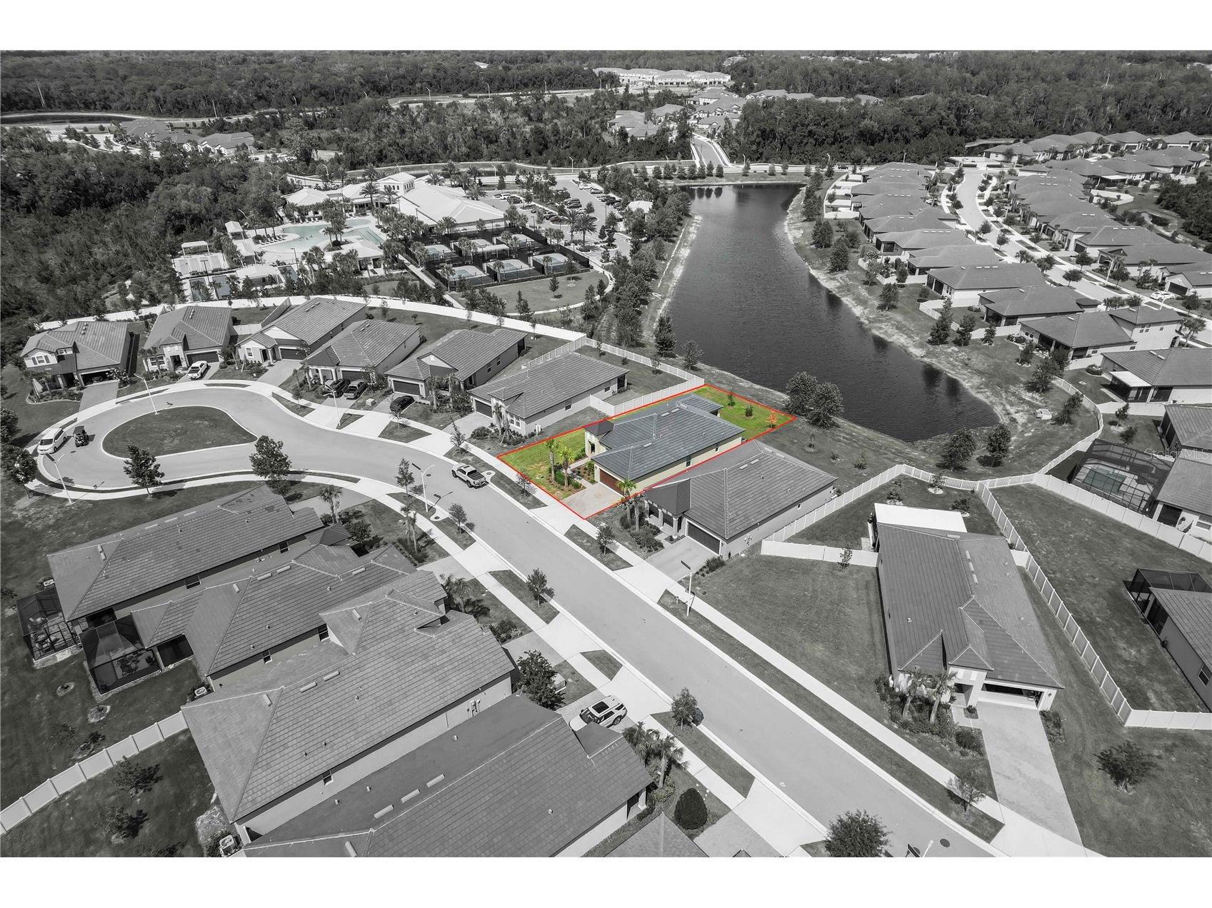 10852 Ibis Brook Court Land O Lakes FL 34638 TB8516318 image7