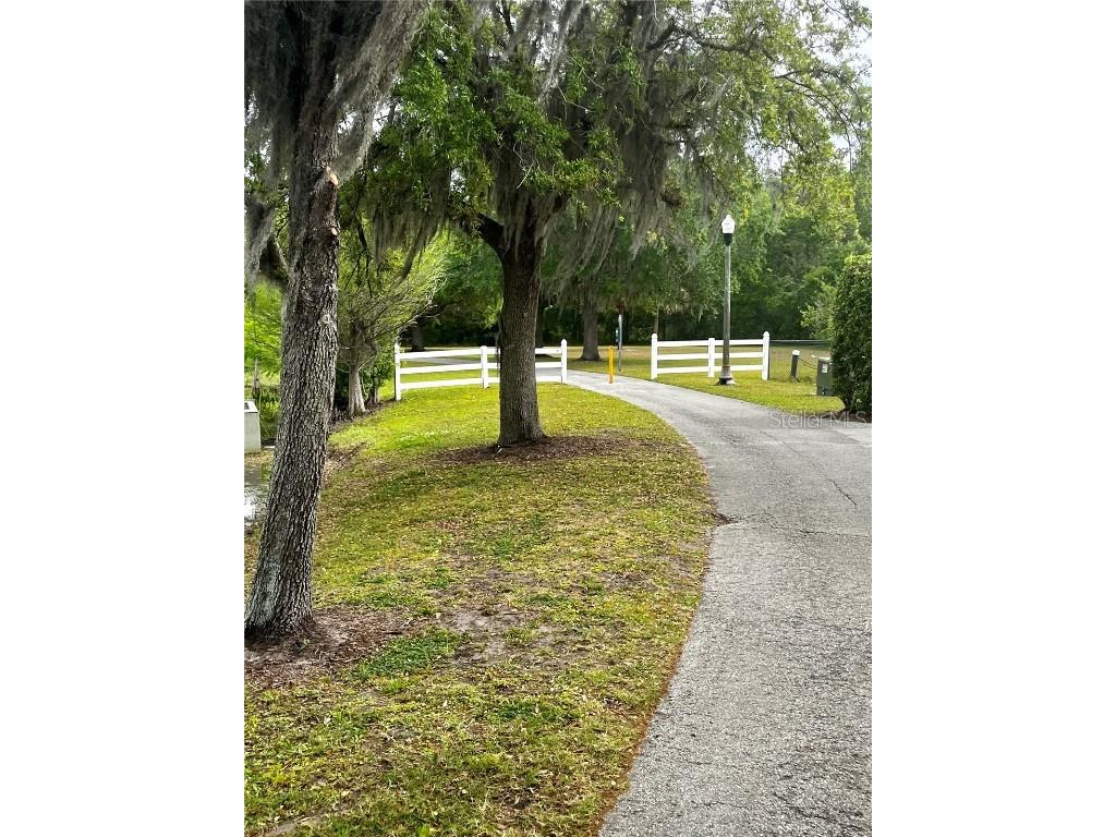 10852 Spider Lily Drive #14C Orlando FL 32832 O6294460 image11