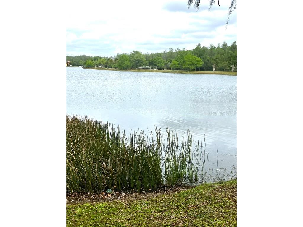 10852 Spider Lily Drive #14C Orlando FL 32832 O6294460 image12