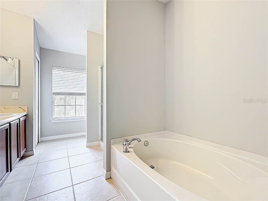 10852 Spider Lily Drive #14C Orlando FL 32832 O6294460 image22