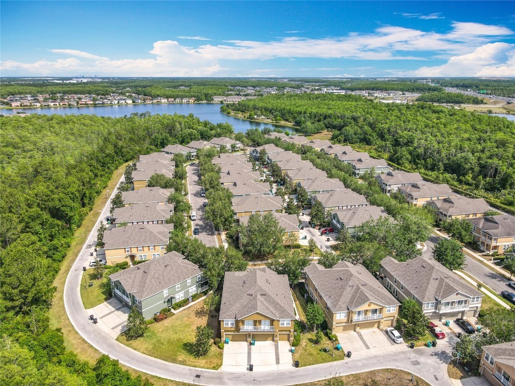 10852 Spider Lily Drive #14C Orlando FL 32832 O6294460 image34