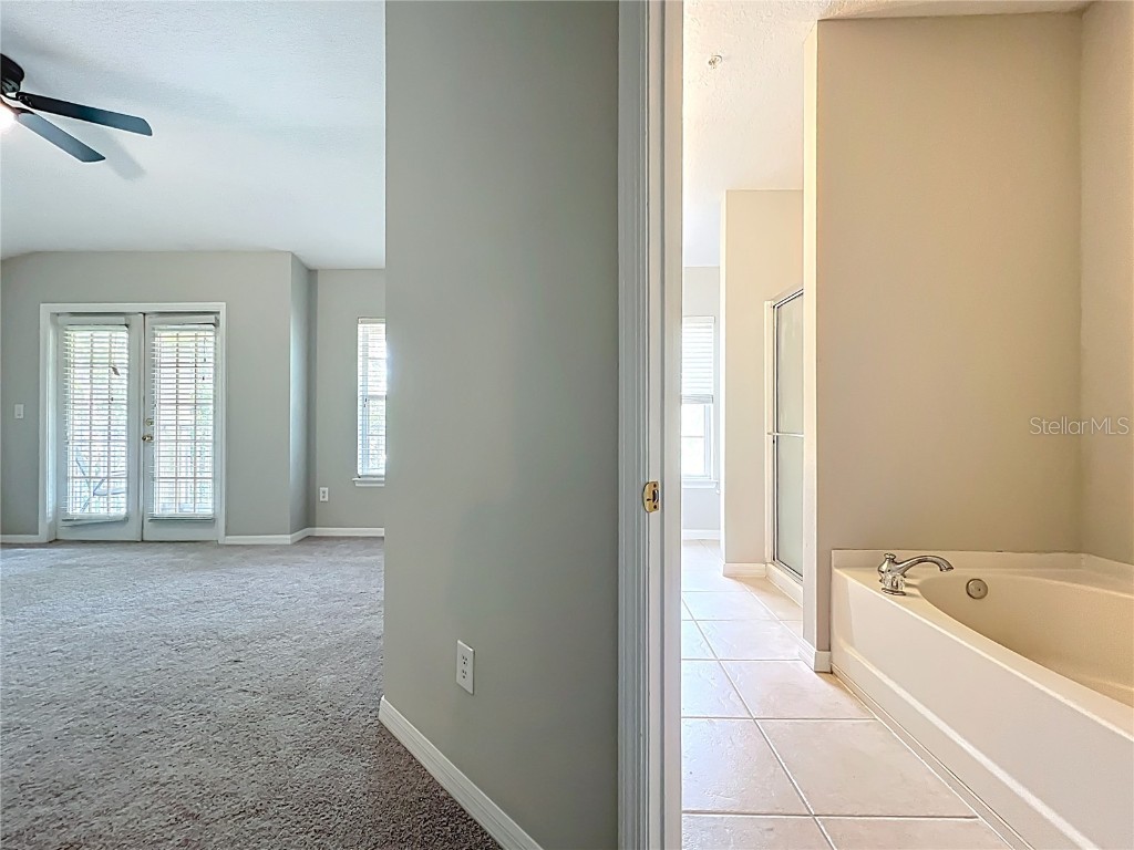 10852 Spider Lily Drive #14C Orlando FL 32832 O6294460 image50