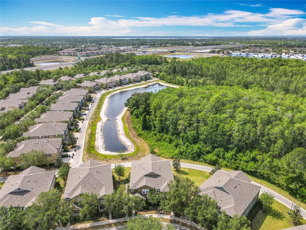 10852 Spider Lily Drive #14C Orlando FL 32832 O6294460 image52