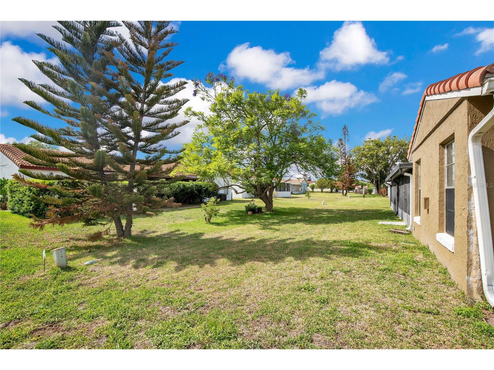 10853 William And Mary Court Orlando FL 32821 O6402054 image25
