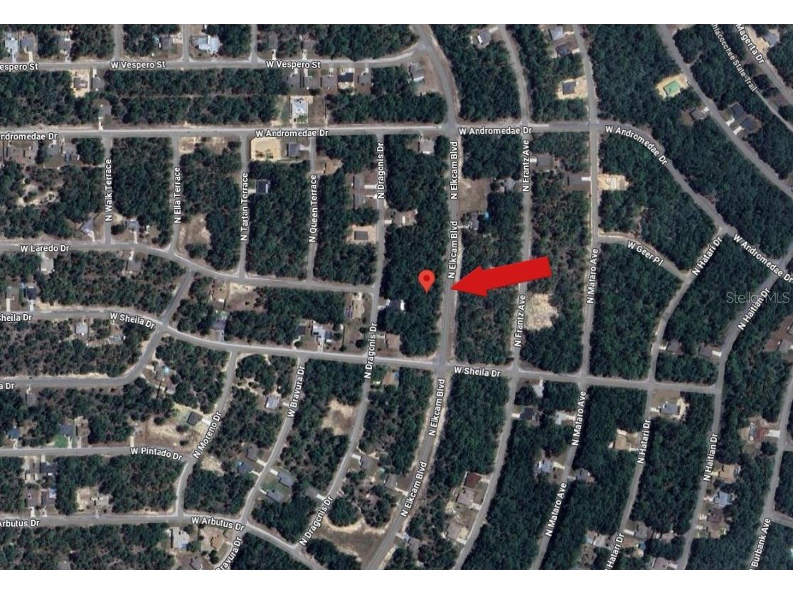 10858 N Elkcam Boulevard Citrus Springs FL 34433 A4656667 image4