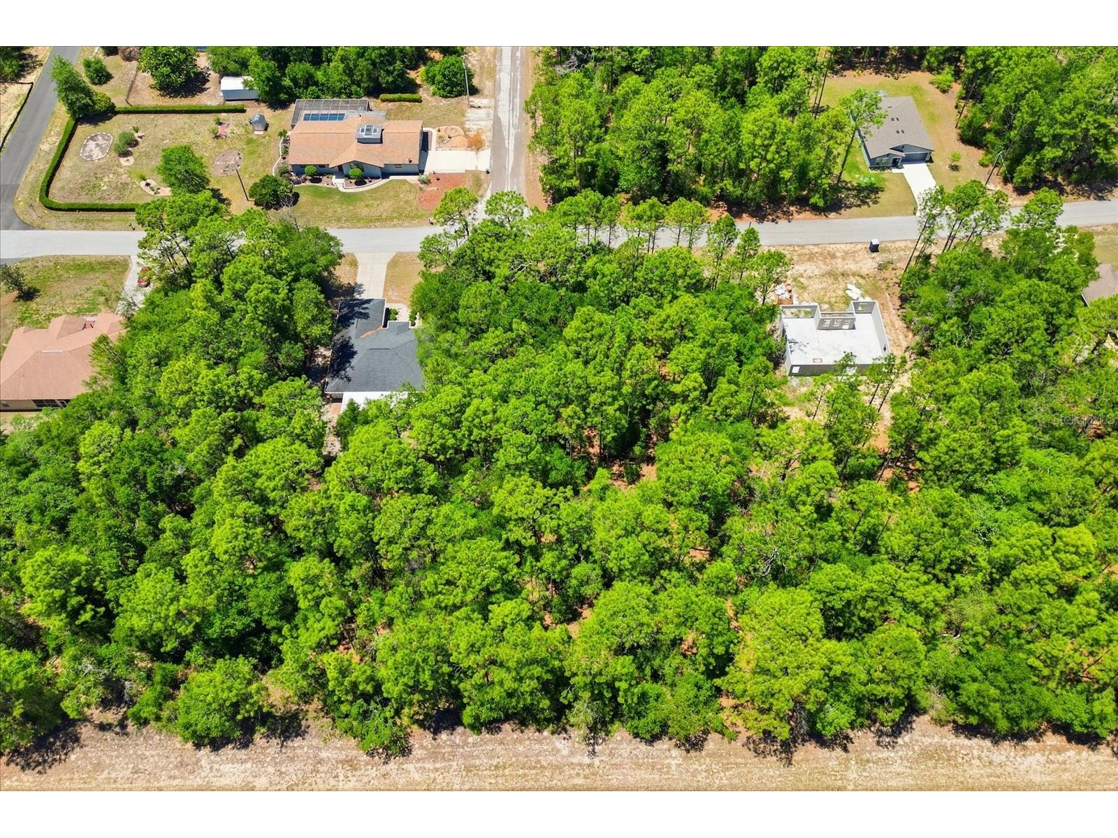 10858 N Elkcam Boulevard Citrus Springs FL 34433 TB8508550 image11