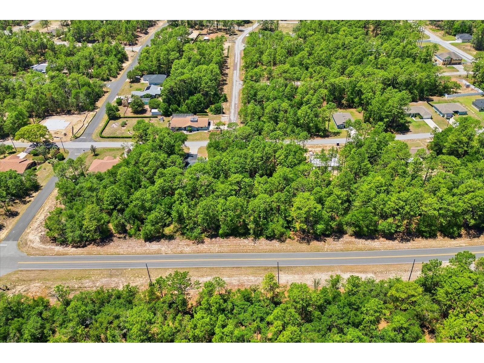 10858 N Elkcam Boulevard Citrus Springs FL 34433 TB8508550 image2