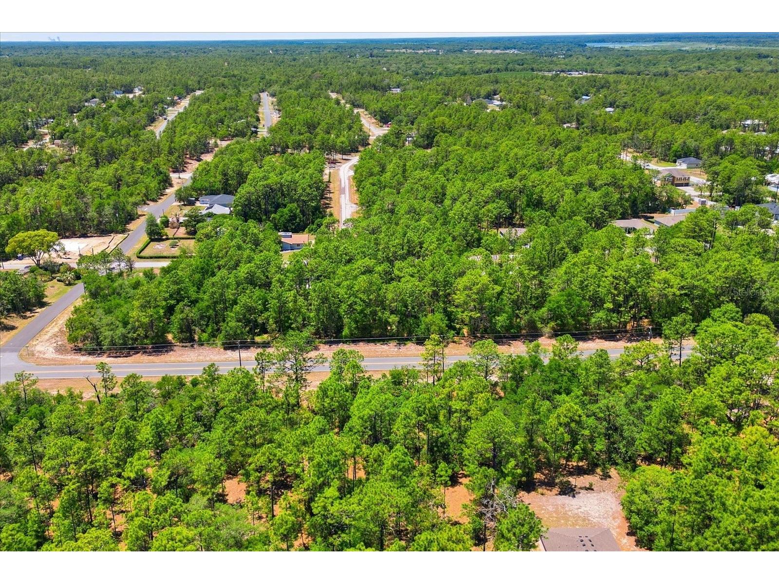 10858 N Elkcam Boulevard Citrus Springs FL 34433 TB8508550 image3