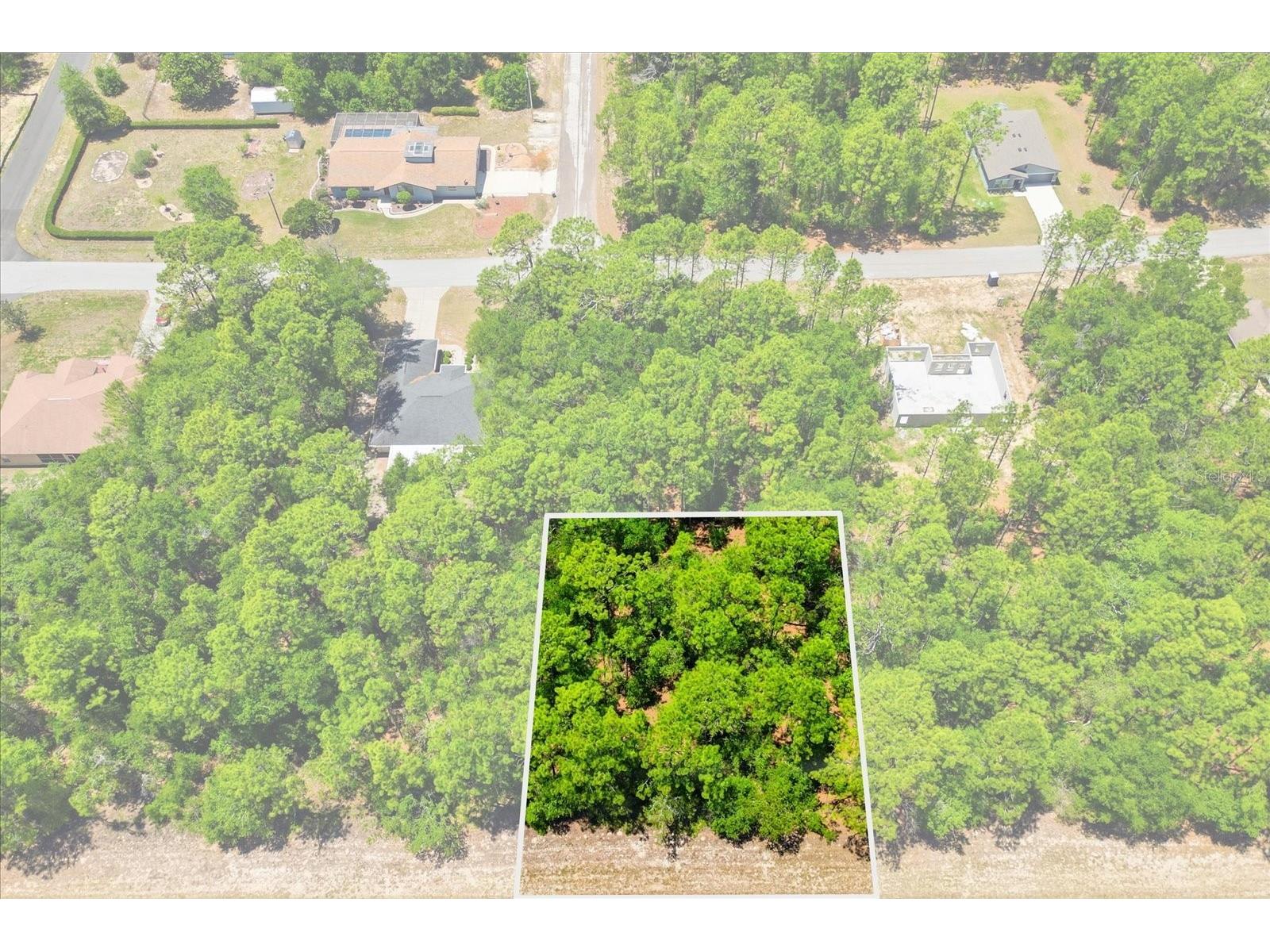 10858 N Elkcam Boulevard Citrus Springs FL 34433 TB8508550 image4