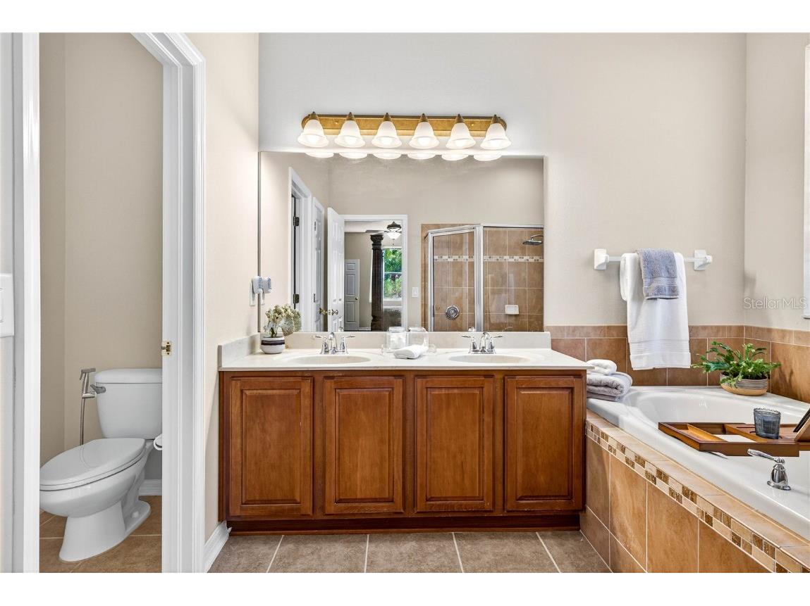 10859 Breaking Rocks Drive Tampa FL 33647 TB8429004 image24