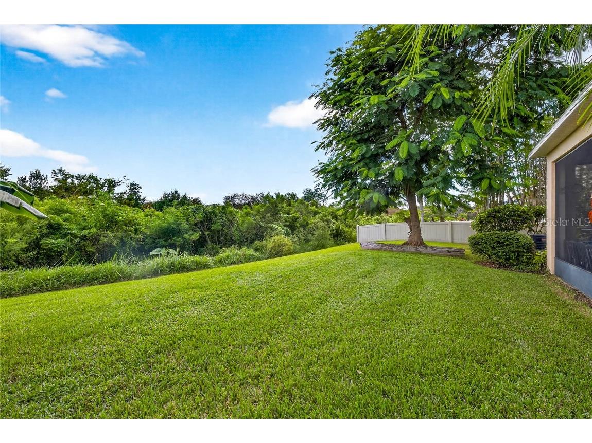 10859 Breaking Rocks Drive Tampa FL 33647 TB8429004 image42