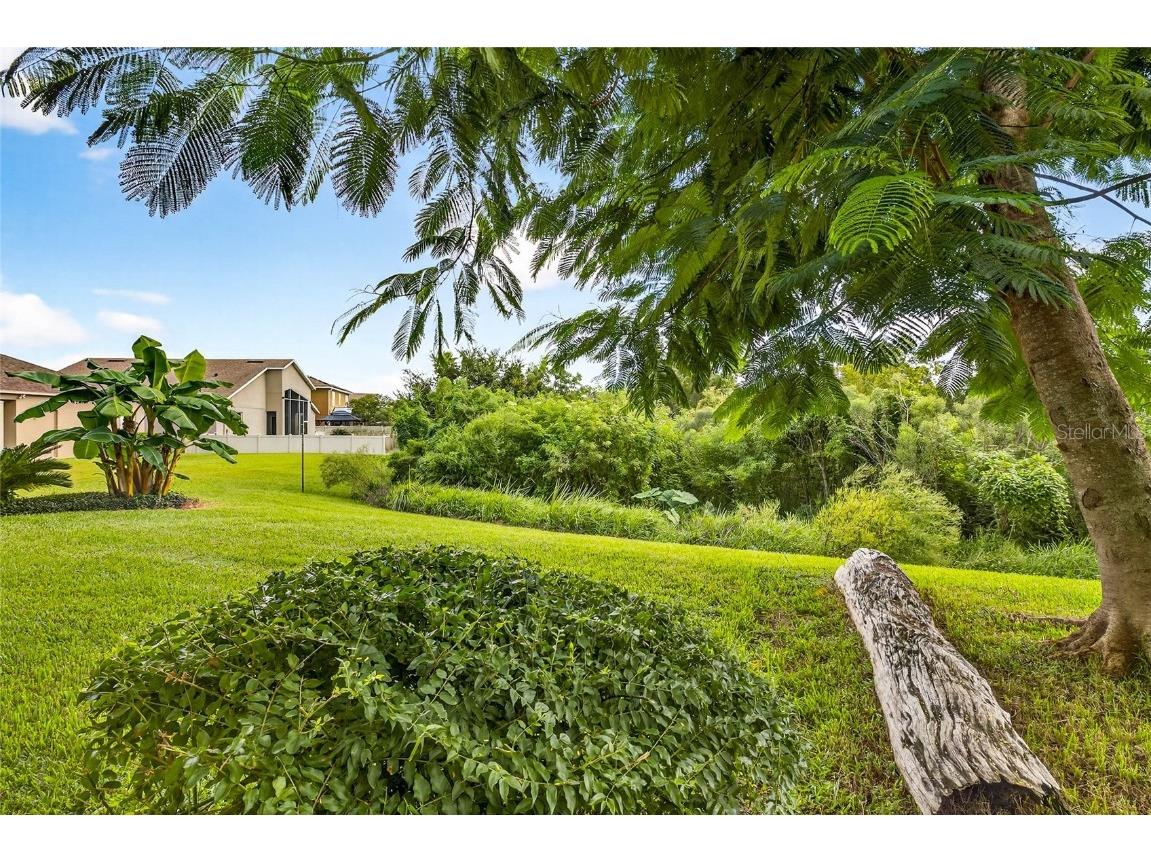 10859 Breaking Rocks Drive Tampa FL 33647 TB8429004 image43