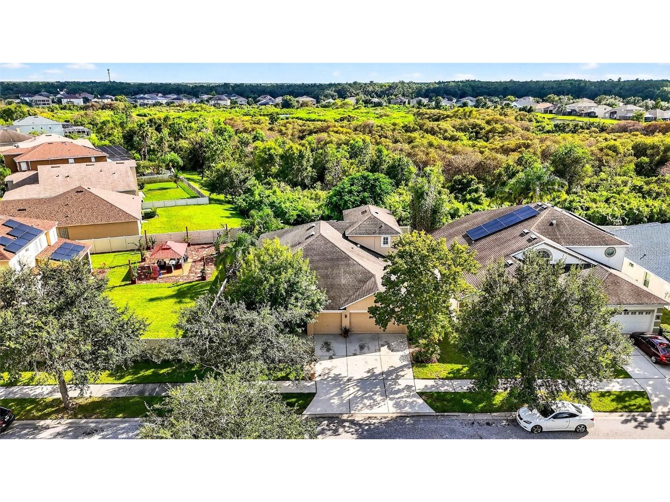 10859 Breaking Rocks Drive Tampa FL 33647 TB8429004 image47