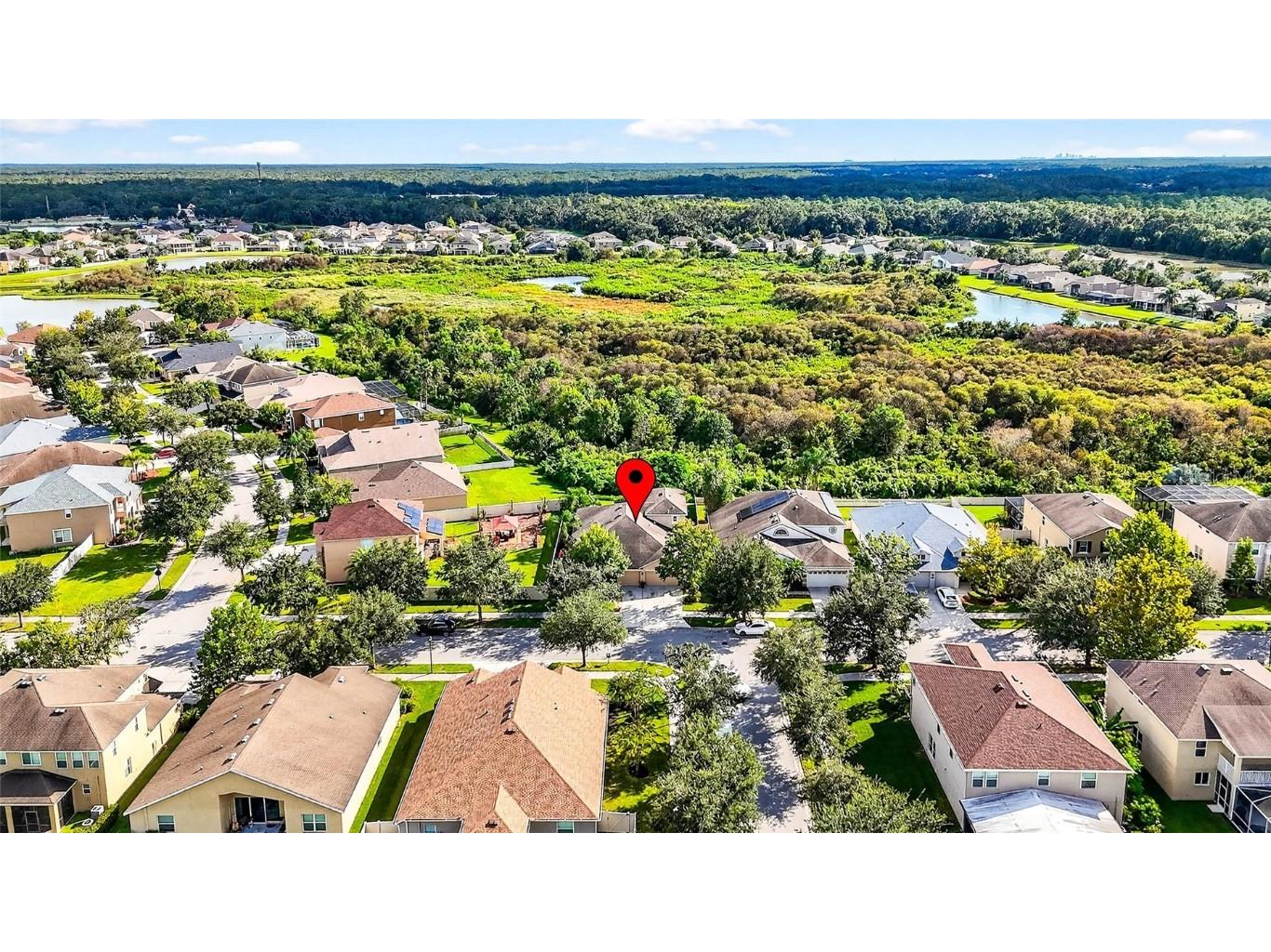 10859 Breaking Rocks Drive Tampa FL 33647 TB8429004 image50