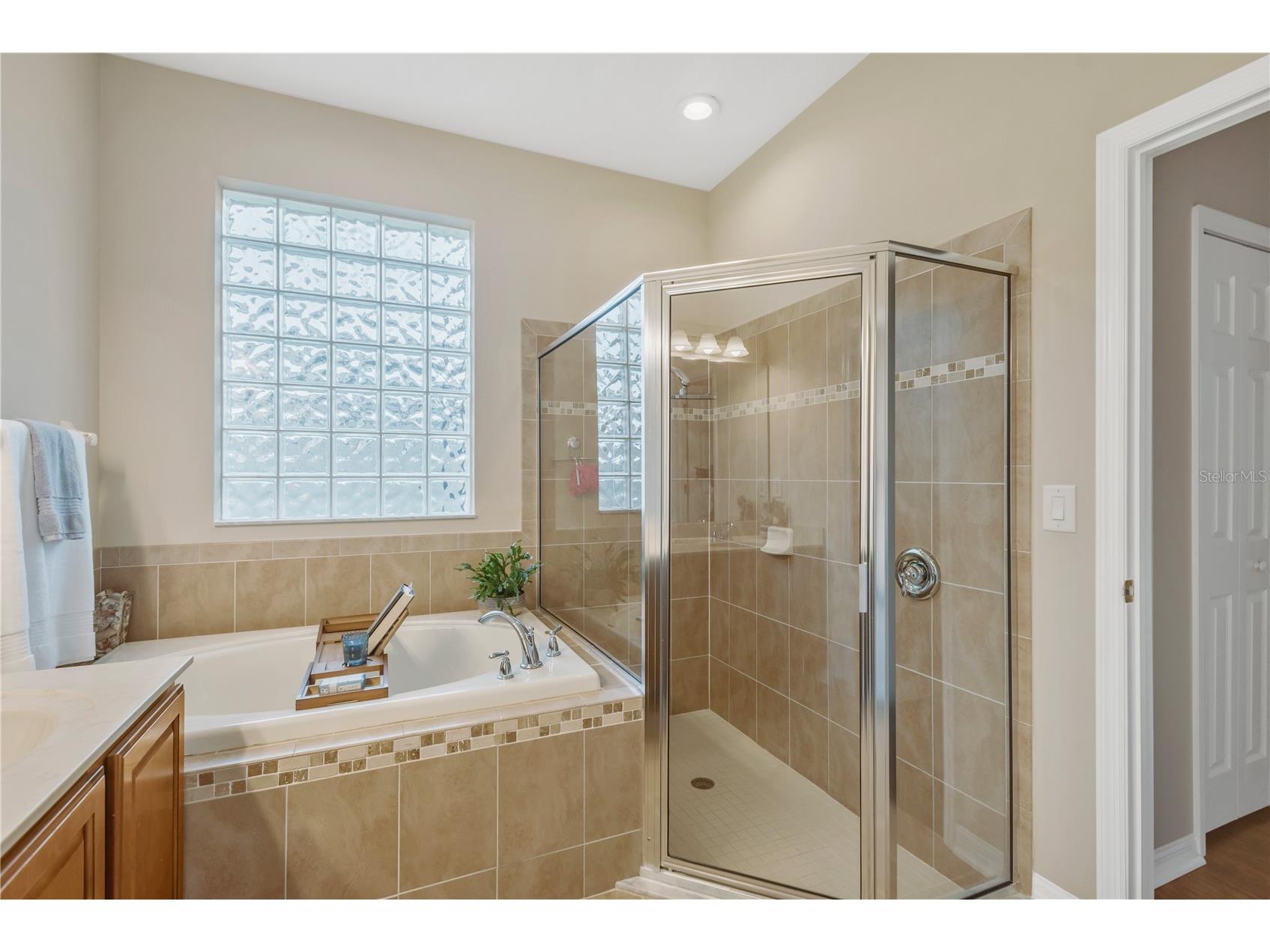 10859 Breaking Rocks Drive Tampa FL 33647 TB8514335 image12