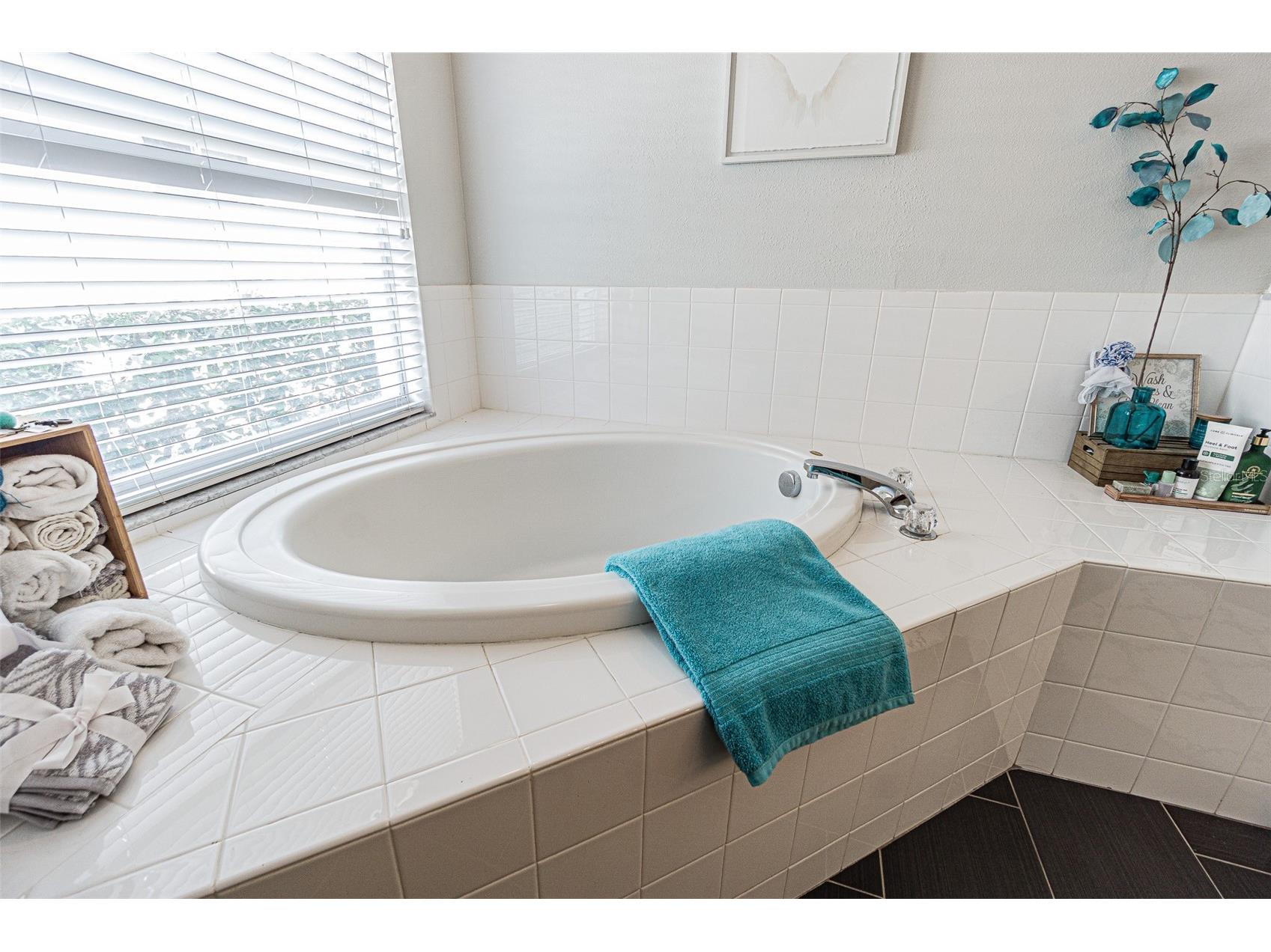 10859 Cory Lake Drive Tampa FL 33647 TB8478365 image21