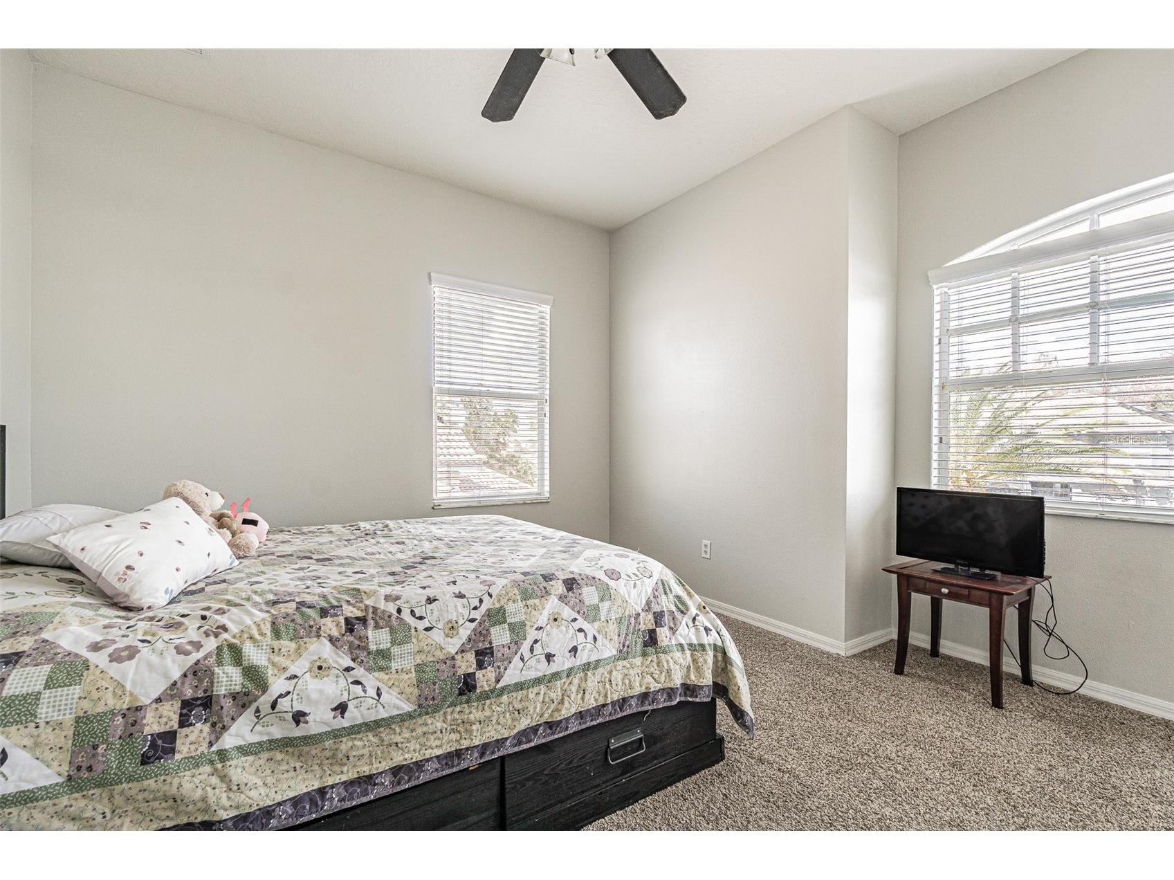 10859 Cory Lake Drive Tampa FL 33647 TB8478365 image31