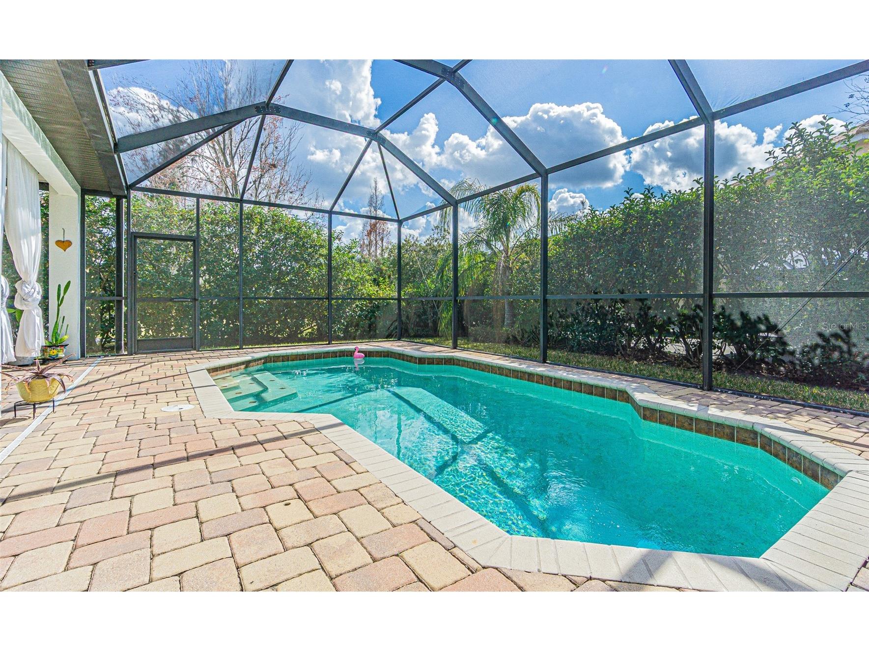 10859 Cory Lake Drive Tampa FL 33647 TB8478365 image35