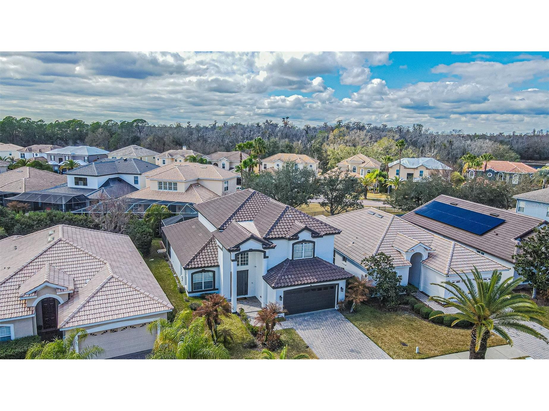 10859 Cory Lake Drive Tampa FL 33647 TB8478365 image40