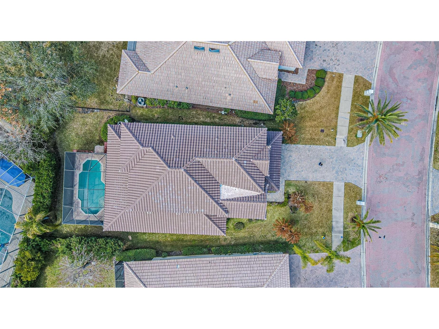 10859 Cory Lake Drive Tampa FL 33647 TB8478365 image41