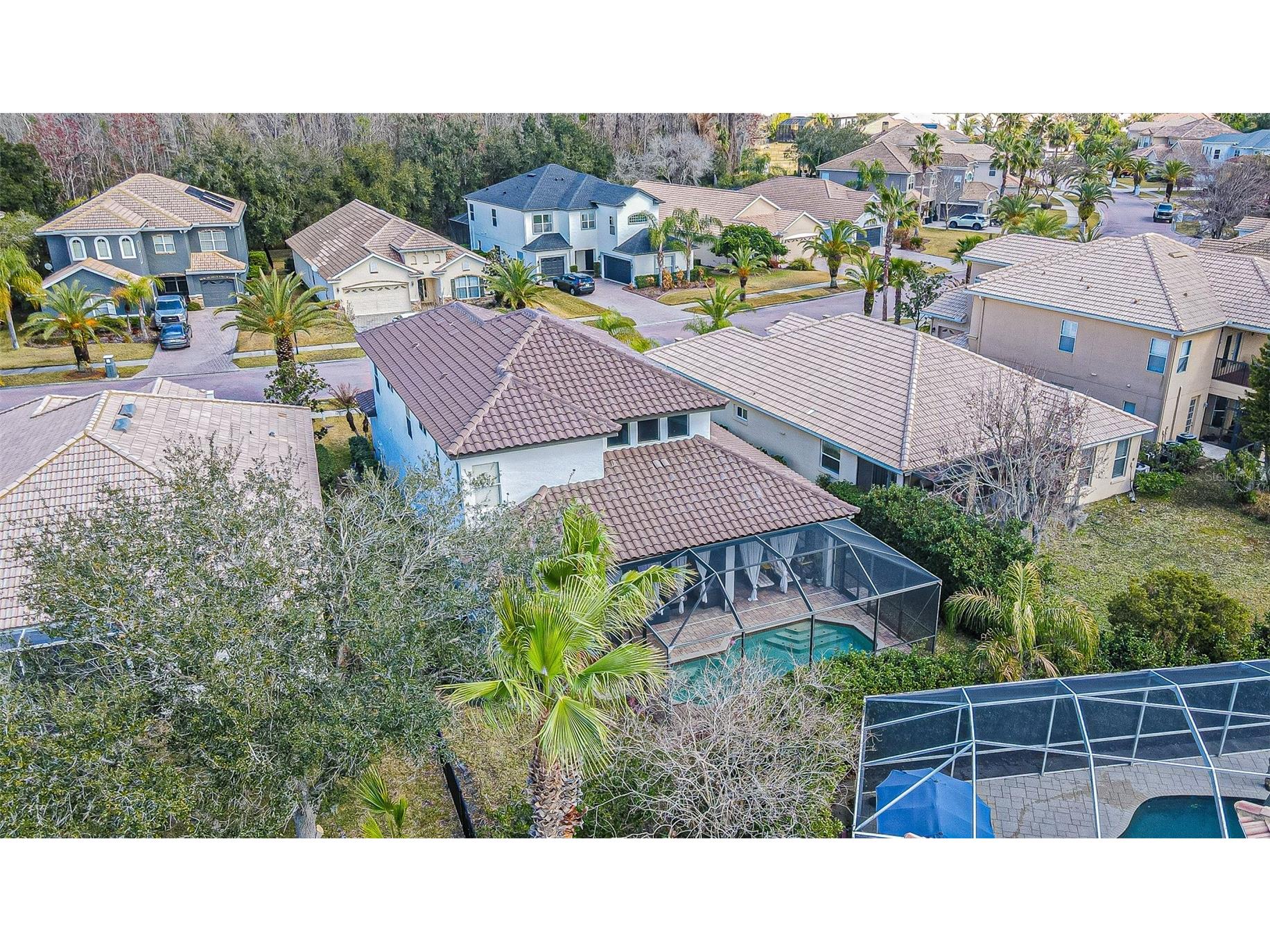 10859 Cory Lake Drive Tampa FL 33647 TB8478365 image42