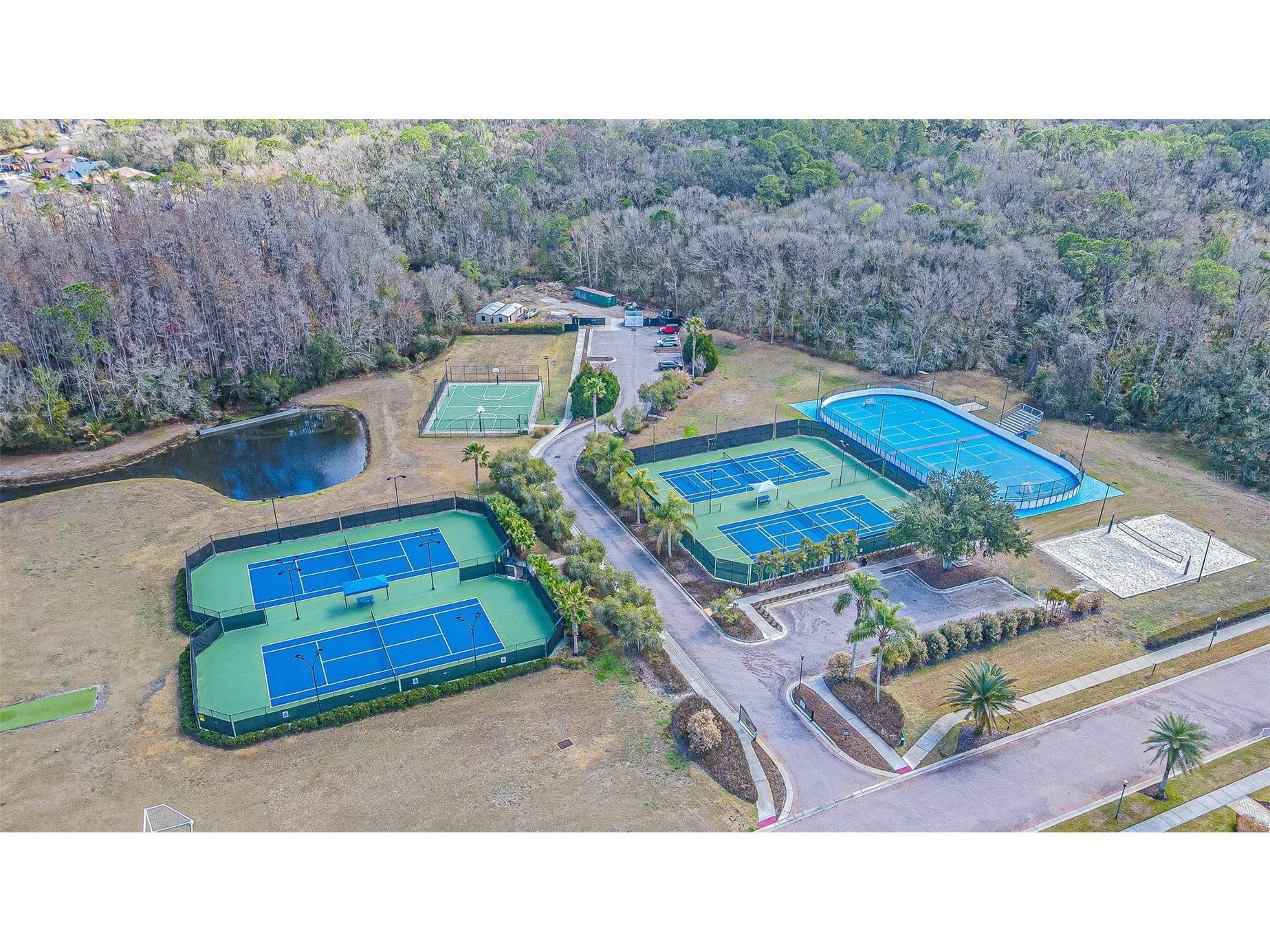 10859 Cory Lake Drive Tampa FL 33647 TB8478365 image47